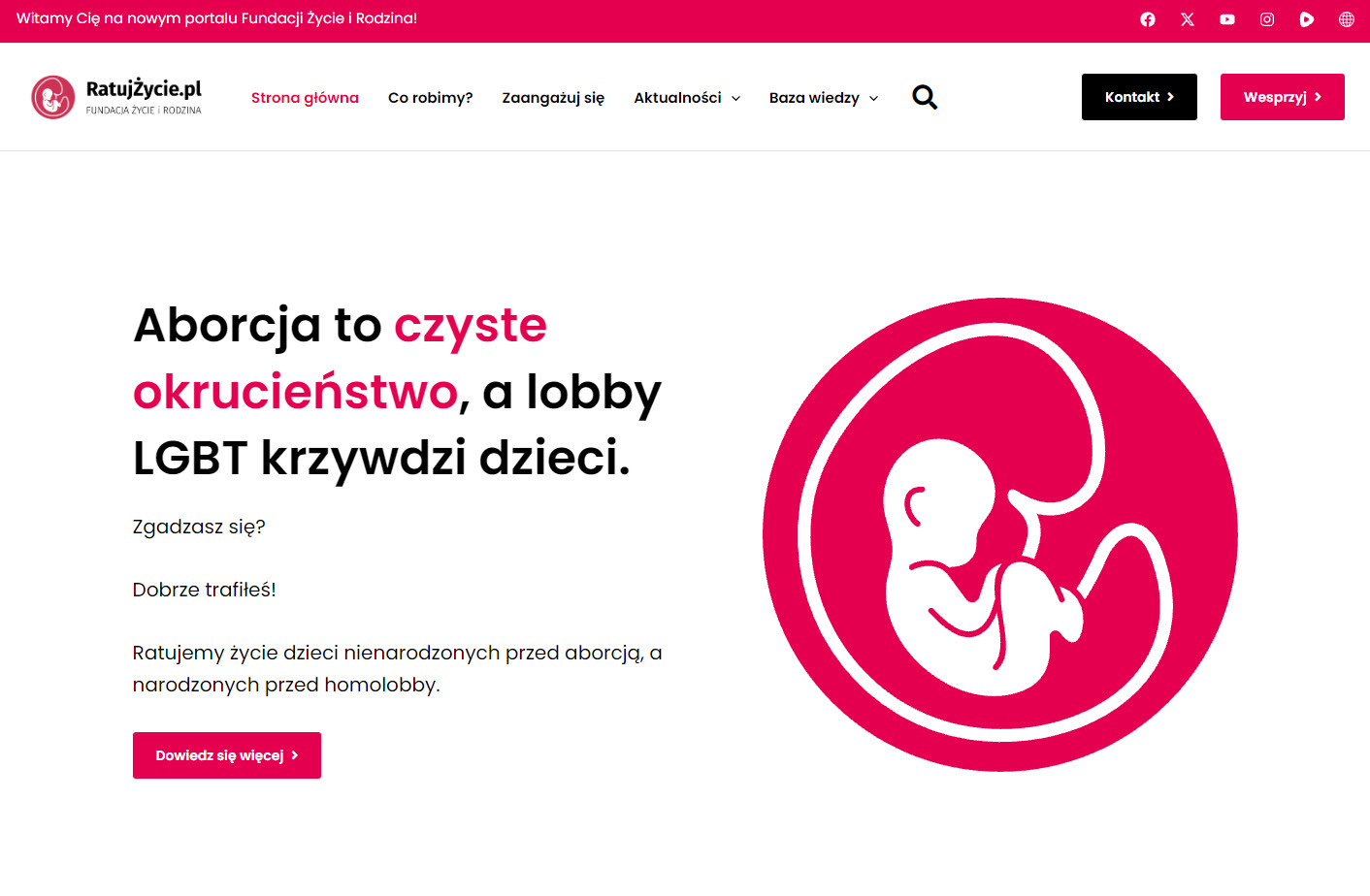Fundacja pro-life w kontekście działań NGO - porównanie modeli wsparcia