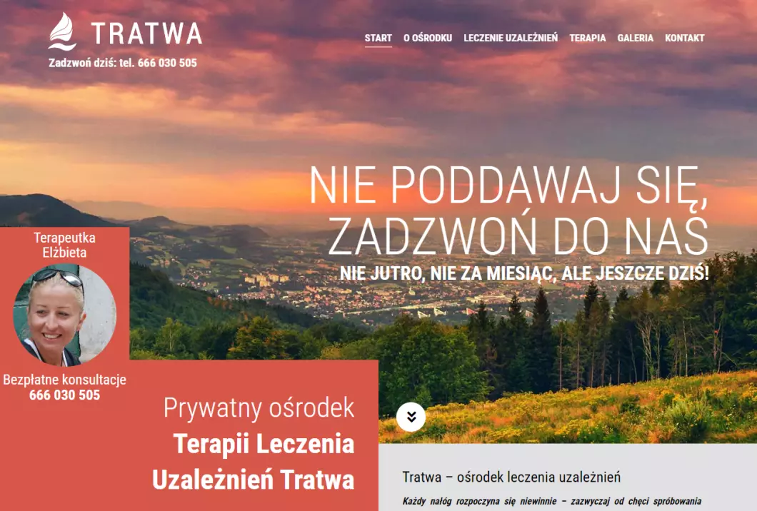 Zrzut ekranu strony